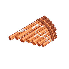 traditional music instrument