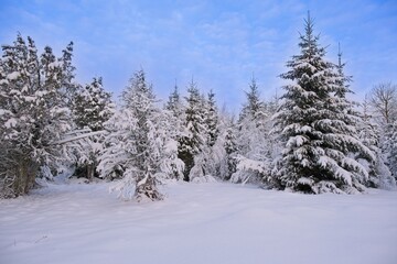 Fairytale winter landscape in Skaraborg Sweden one day before Christmas