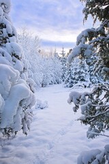 Fairytale winter landscape in Skaraborg Sweden one day before Christmas