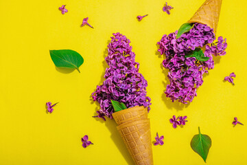 Violet lilac flowers in waffle ice cream cones on purple background. Flat lay, spring concept