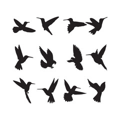 Set of Silhouettes of Birds