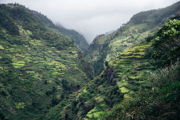 Obraz premium Grün bewachsene Berge mitten in der Natur