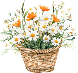 Straw Basket With Wildflowers Watercolor. Vector Illustration Art.