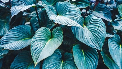 Colorful Blue Floral Leaves: A Vibrant Backdrop Texture