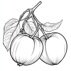 Line art illustration of two apples on a branch with leaves.