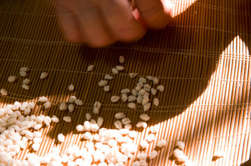 Bessude, making homemade gnocchi dough. Sassari, Sardinia. Italy lavorazione della pasta per gli gnocchetti.
