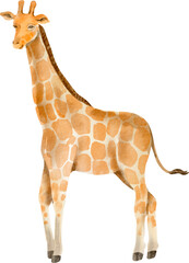 Naklejka premium watercolor giraffe