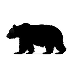 Fototapeta premium brown bear silhouette