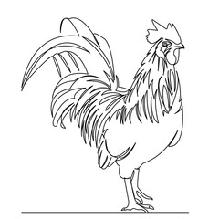 One continuous single drawing line art flat doodle rooster, animal, bird, chicken, nature. Isolated image hand draw contour on a white background

