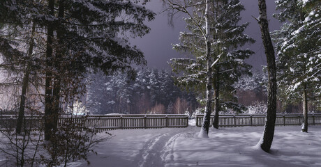 Beautiful winter landscape with snowy trees and wooden fence. Calm night atmosphere, mysterious snowy forest at night. Footprints in the snow lead to a wooden fence.