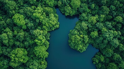 Bird's eye perspective of a verdant woodland with a serpentine path, highlighting the splendor of nature and sustainable principles through an esg approach