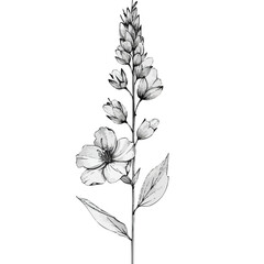 Elegant floral vector design featuring detailed monochrome blossom.