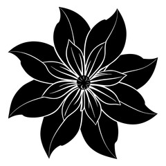 black and white flower