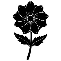 black and white flower isolated