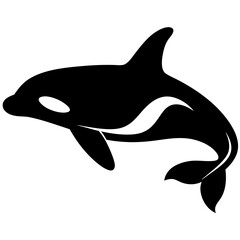 Obraz premium dolphin isolated on white