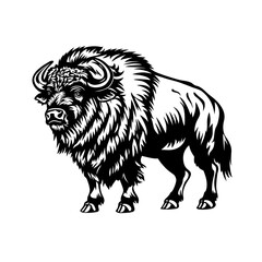 Obraz premium buffalo vector illustration