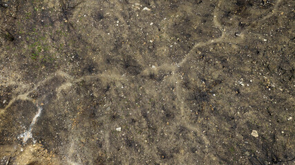 Aerial view of a burnt land. Ideal for textures, patterns and backgrounds.