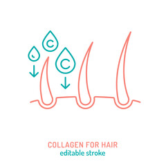 Collagen for hair line icon. Connective tissue protein pictogram.