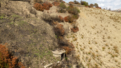 Aerial view of a burnt field. A few shrubs survived a recent forest fire.