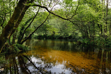 The Parga River as it passes through Guitiriz. Riverside forest. Atlantic forest. Forest in Galicia. Path, pedestrian path.