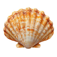 Fototapeta premium Beautiful orange scallop shell with intricate patterns isolated on transparent background