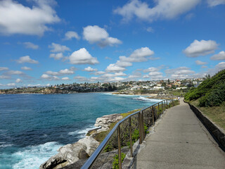 A view from the coastal walk between Bondi and Brote in sunny summer in the daytime.
