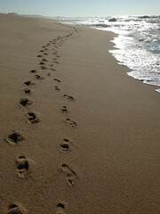 footprints on the beach