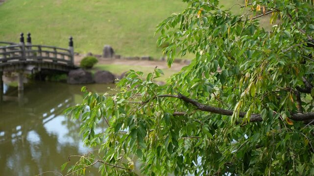View of Gyokusenin Maru Garden in the grounds of Kanazawa Castle, Kanazawa City, Ishikawa Prefecture, Honshu, Japan