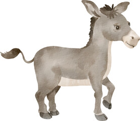 watercolor donkey