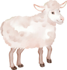 watercolor sheep