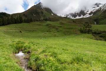 Serene Alpine Meadow with Mountain Stream and Snow-Capped Peaks in Zillertal, Tirol, Austria