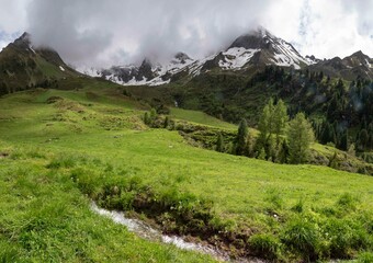 Alpine Meadow with Snow-Capped Mountains and Flowing Stream in Zillertal, Tirol, Austria