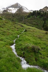 Alpine Mountain Stream Flowing Through Green Meadows in Zillertal, Tirol, Austria