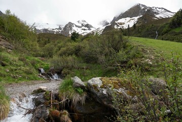Crystal Clear Alpine Stream Flowing Through Greenery with Snow-Capped Peaks in Zillertal, Tirol, Austria