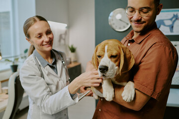 Veterinarian holding beagle with owner's support in clinic smiling warmly with medical equipment in...