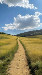 Obraz premium A scenic landscape featuring a dirt path through golden fields under a blue sky -