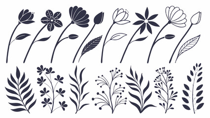 Wild Flower Silhouette Vector, lower Silhouette Vector, Leaf Elements Vector, Black and White Flowers