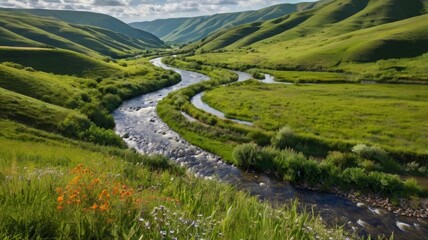 Serene River Winding Through Lush Green Hills Under Cloudy Skies in the Mountain Valley