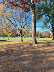 Boston, Massachusetts, Usa