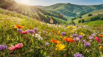 Gordijnen Sunlit meadow with vibrant wildflowers and butterflies in a hilly landscape © Fristy