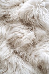 Soft white fluffy fur texture close up detail abstract background for design and decoration