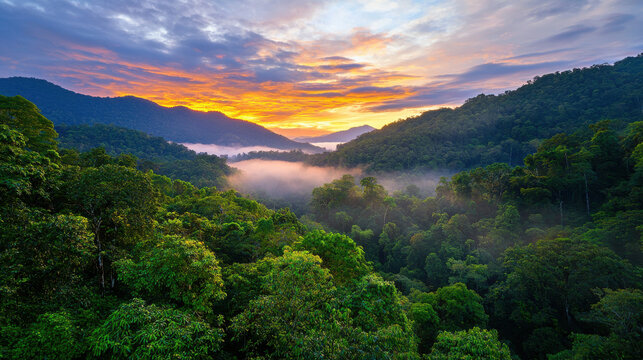 Lush forest landscape at dusk with vibrant sky and misty atmosphere - Powered by Adobe