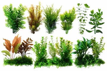 Vibrant collection of artificial aquatic plants arranged artistically for aquarium decoration in bright lighting isolated on transparent background