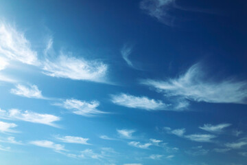Vivid Blue Sky with White Clouds