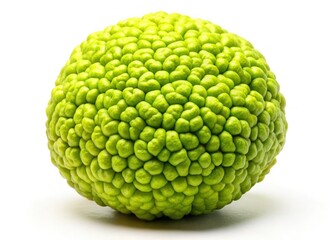 Fototapeta premium A vibrant green Osage orange, isolated on white, showcases its unique herbal botanical beauty.