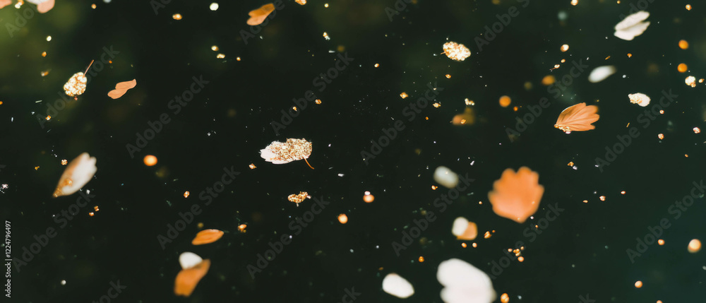 Poster Glimmering pale gold confetti dances on a dark backdrop creating an elegant atmosphere