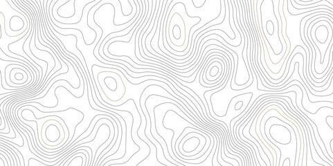 Topographic beautiful white and black contour topo wavy pattern map line design, geography map line, presentation white background. Use for template, wallpaper, web vector illustration.  