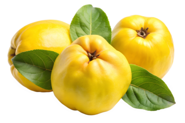 fresh one and half quince isolated on transparent backgr background png