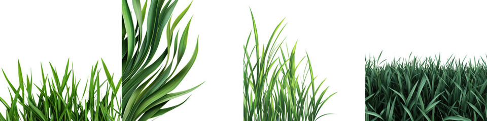 Obraz premium Abundant and Thriving Green Foliage and Grass in Natural Environment