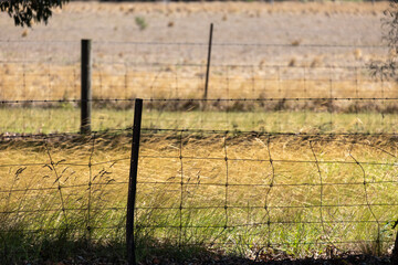 An old wire fence with metal posts stretches across a rural agricultural Australian farmland with...